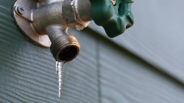 Best Local Plumber Services  in Lenox, IA